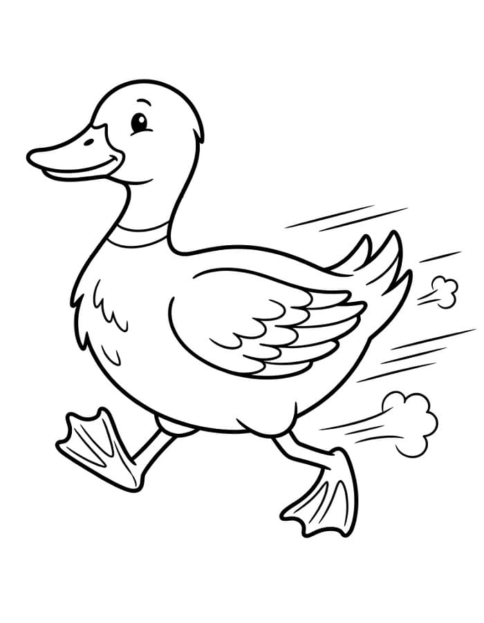 Enkel and fargelegging