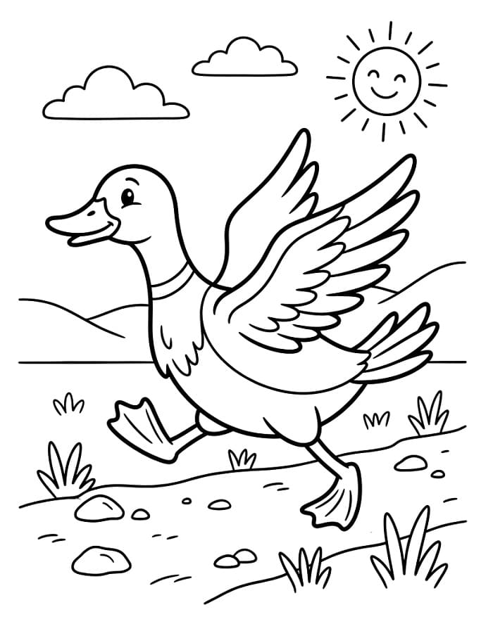 Gratis and fargelegging