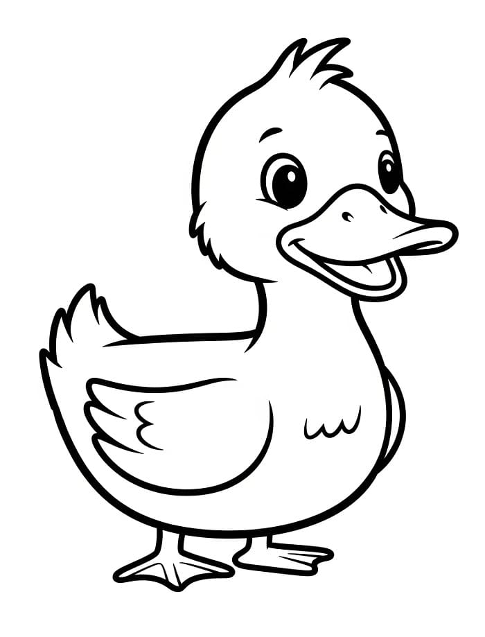 Pen and fargelegging