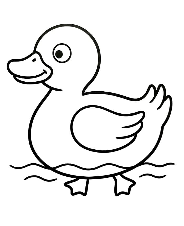 Skriv ut and fargelegging