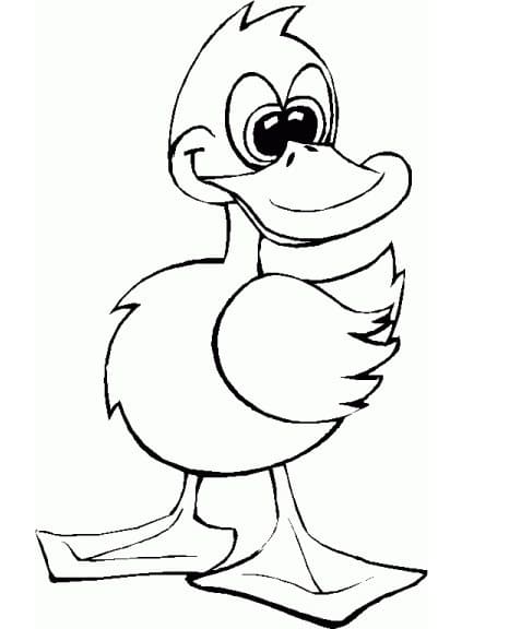 Utskriftbar gratis and fargelegging