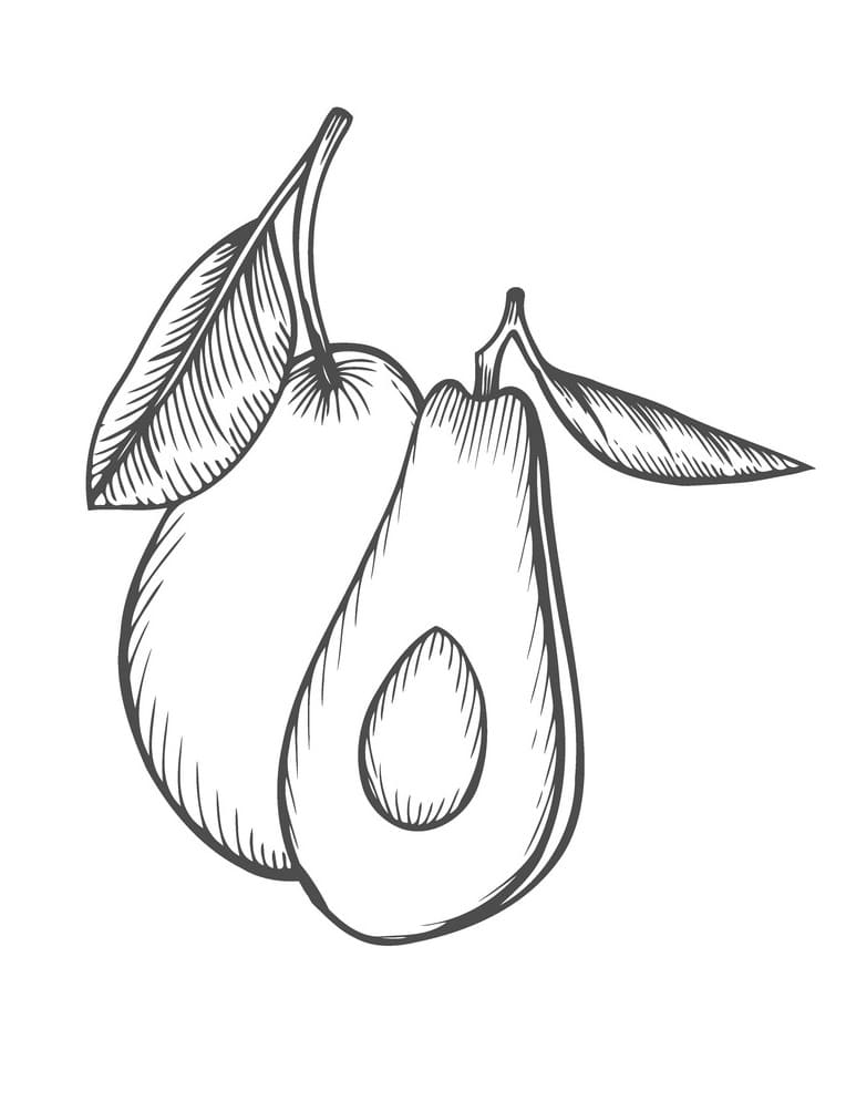 Avokado for barn fargelegging