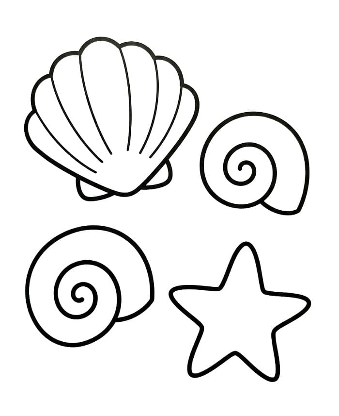 Enkel sjøskjell fargelegging