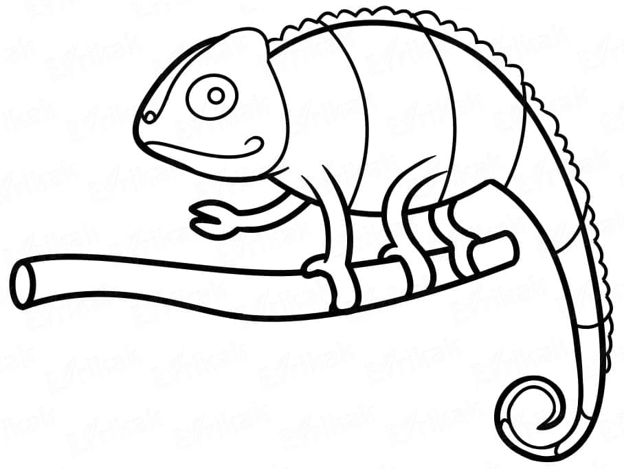 Kameleon for 3-åringer fargelegging