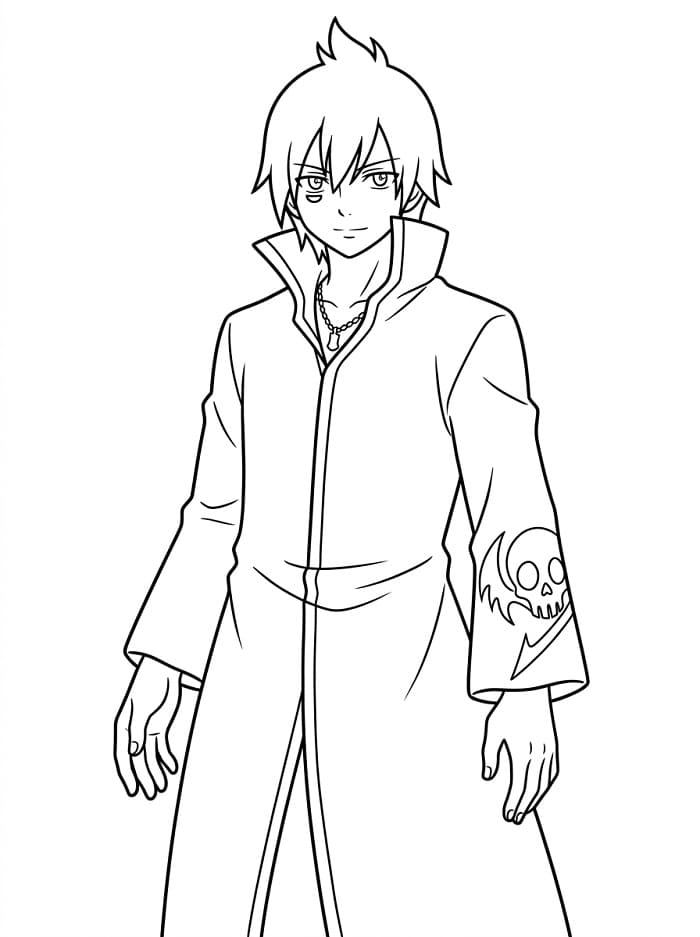 Fairy Tail Anime fargelegging