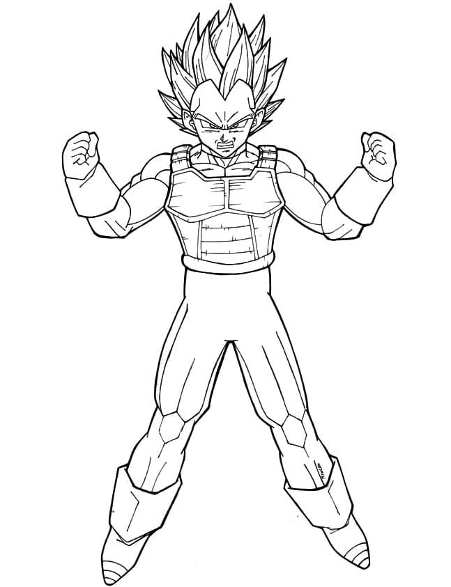 Vegeta fargelegging