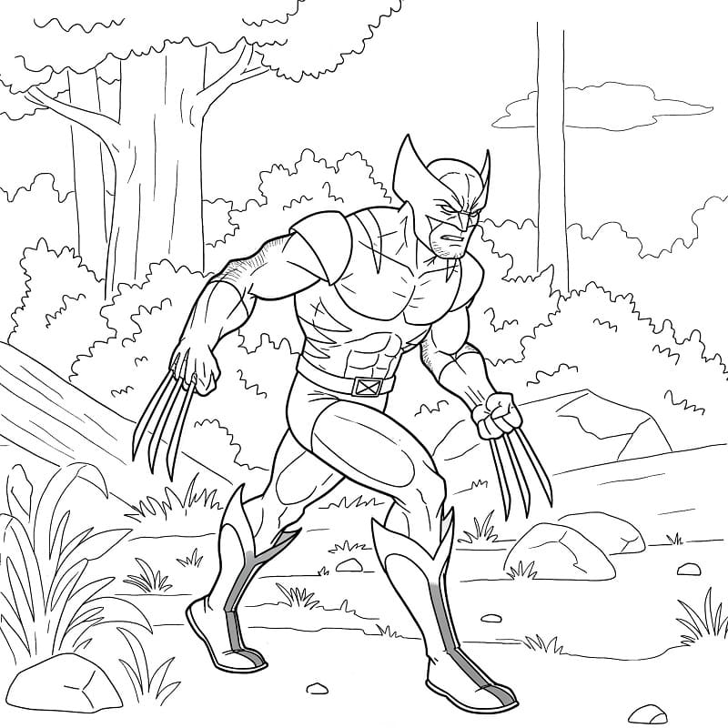 Wolverine utskriftbart bilde fargelegging