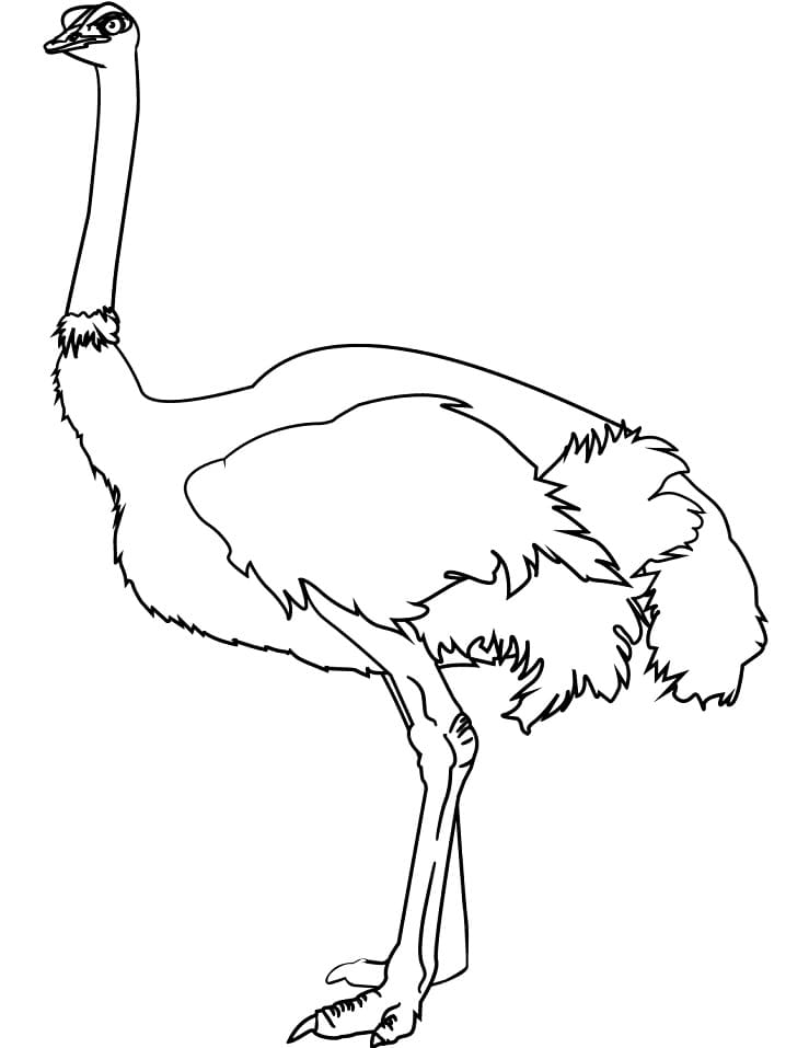 Enkel struts fargelegging