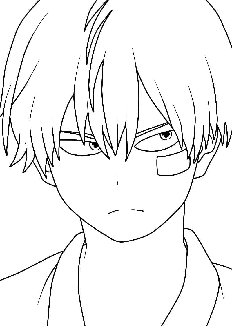 Shoto Todoroki bilde fargelegging