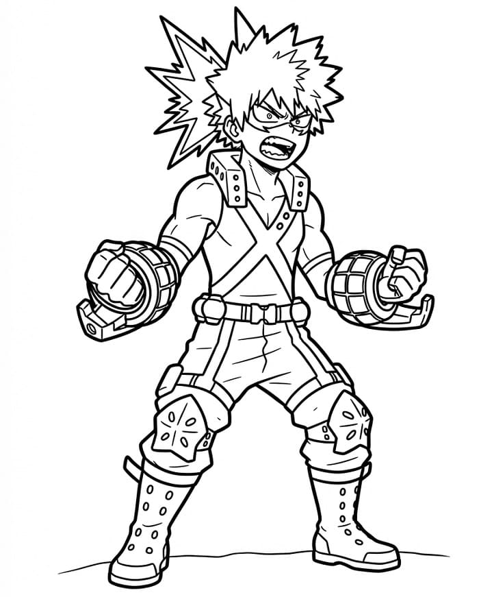 Sint Bakugo fargelegging
