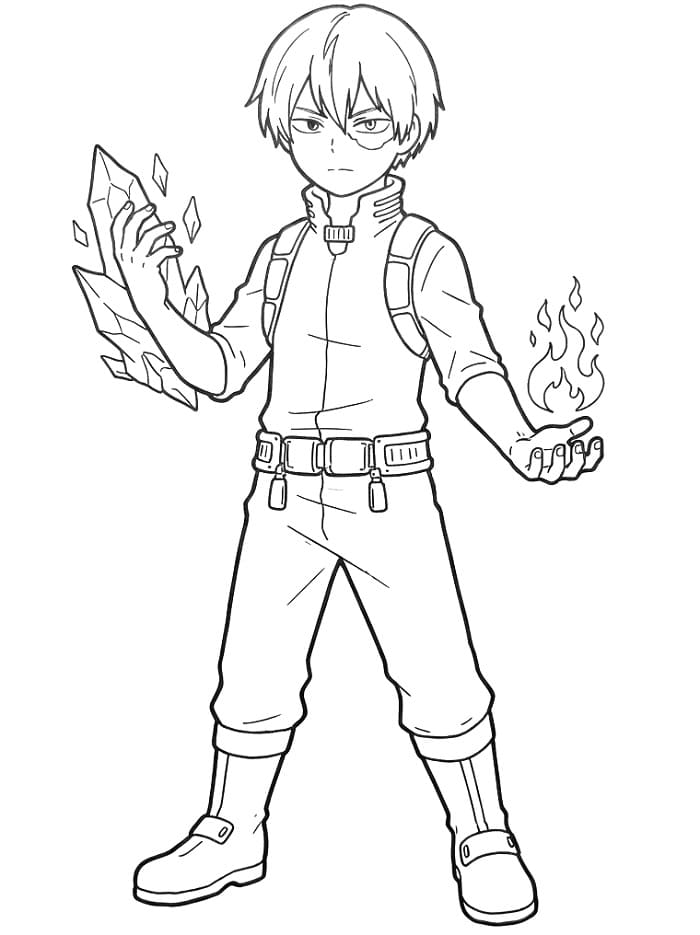 Shoto Todoroki fargelegging