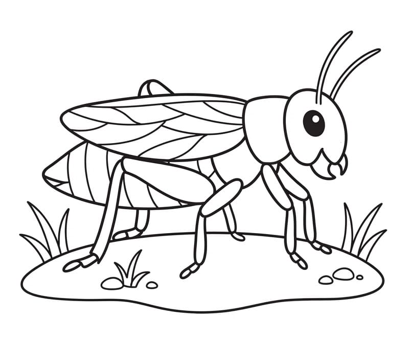 Gratis bilde av insekter fargelegging