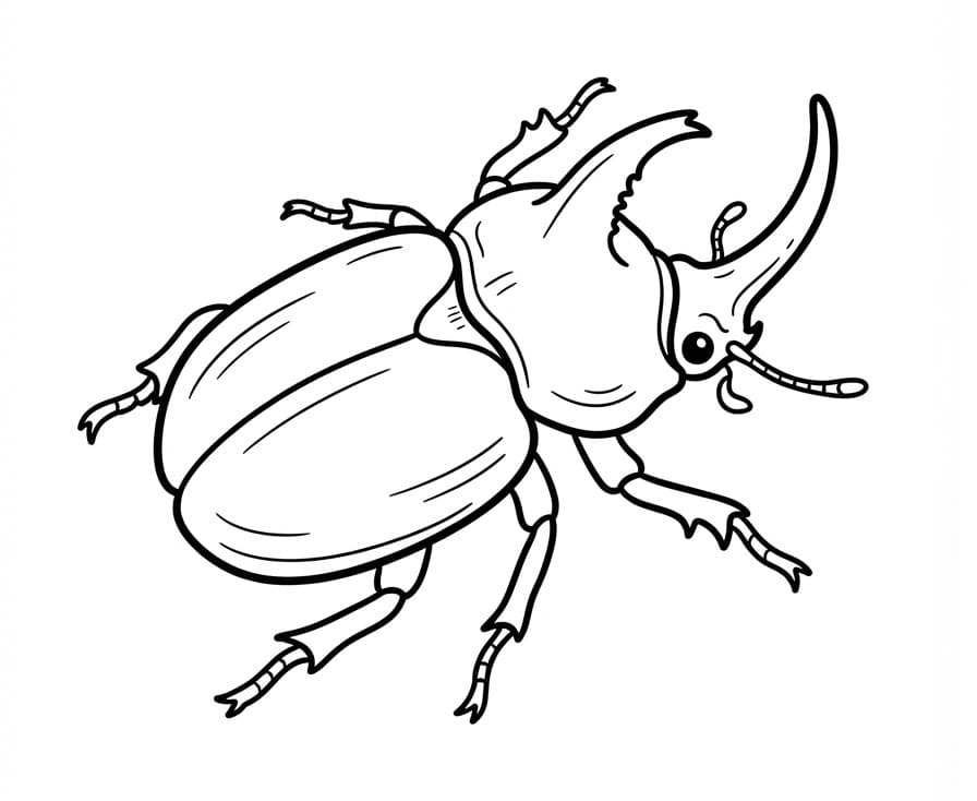 Insekter Gratis bilde av fargelegging