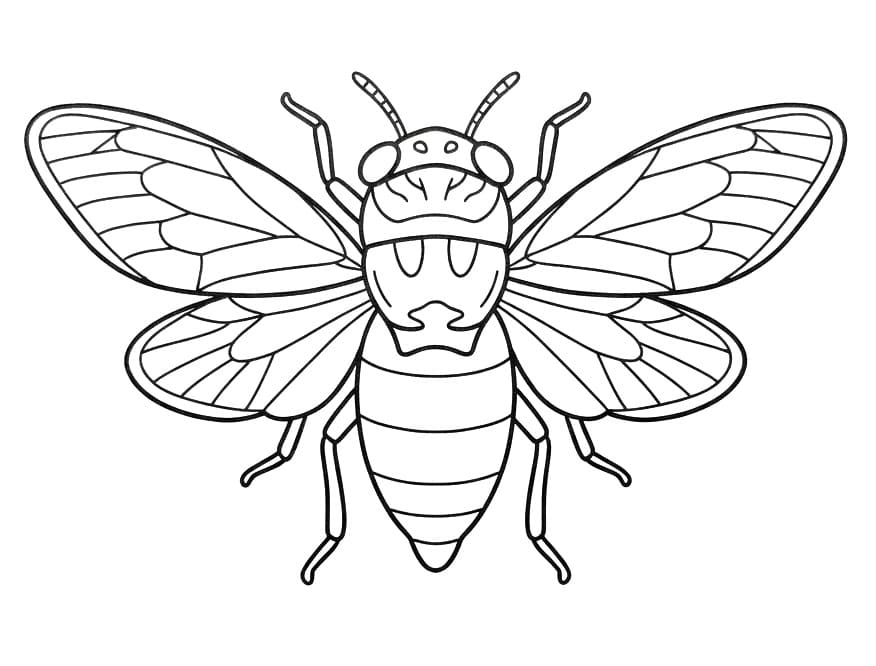 Insekter for 4-åringer fargelegging