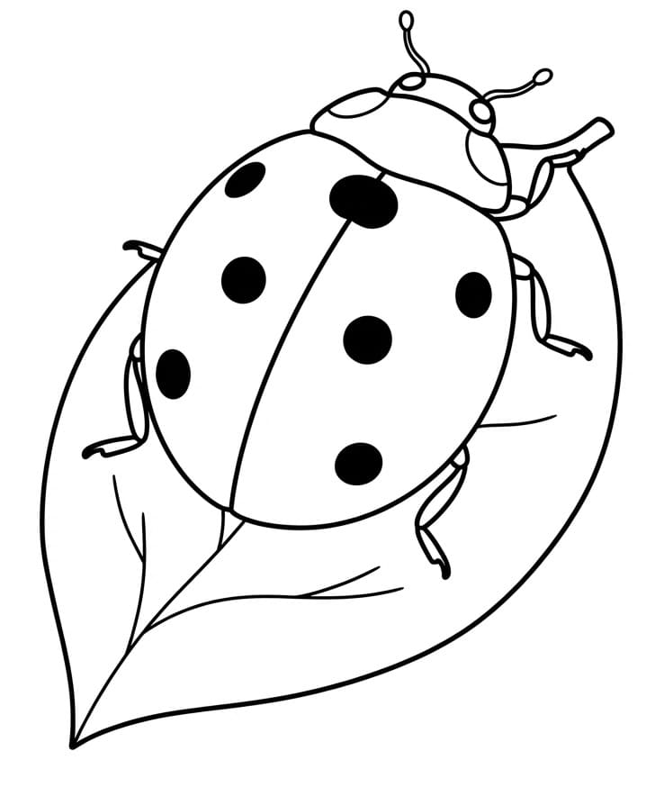 Insekter for 5-åringer fargelegging