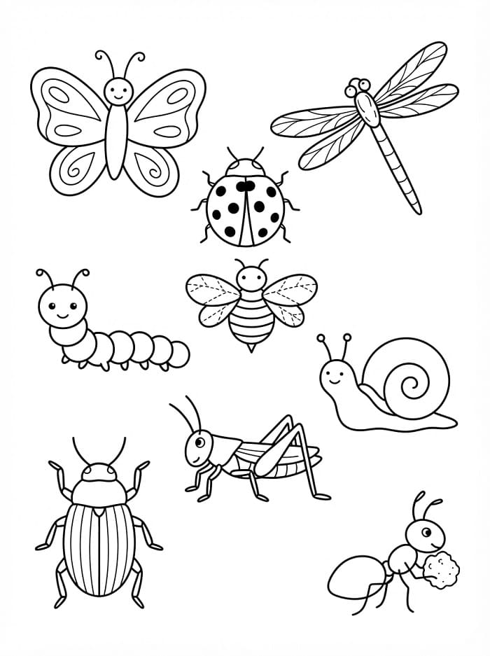 Søte insekter fargelegging