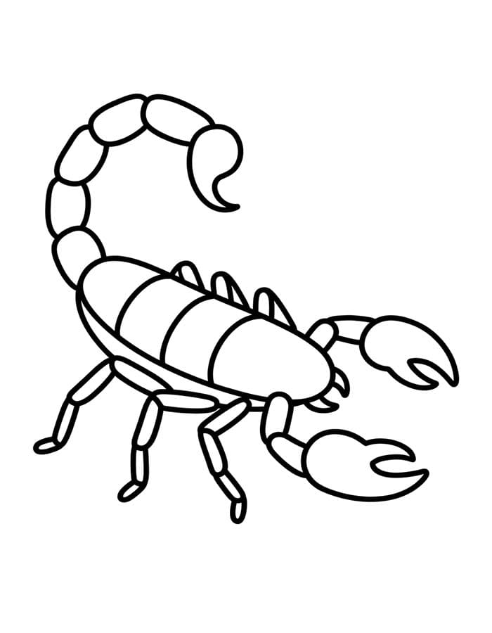 En skorpion fargeleggingsside