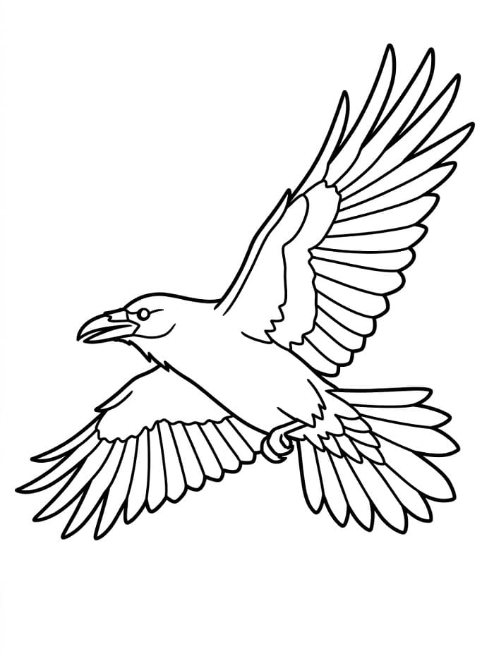 Flyvende kråke fargelegging