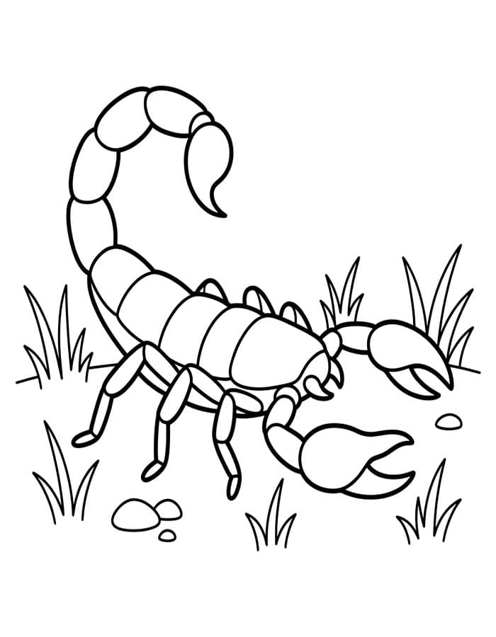 Skorpion på gress fargeleggingsside